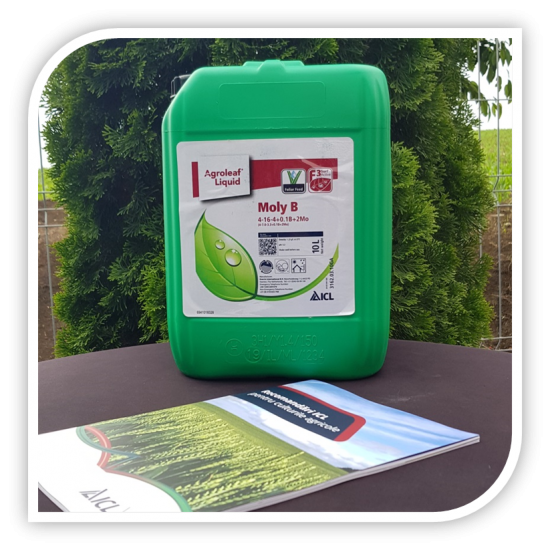 AGROLEAF LIQUID MOLY B