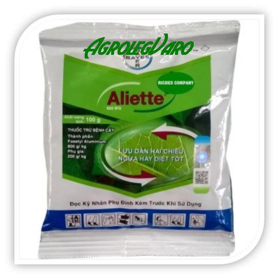 ALIETTE 80 WG ALIETTE 80 WG