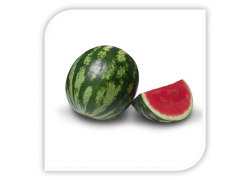 Seminte de pepene verde ATLAS F1