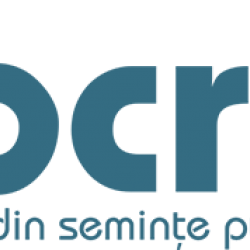 Seminte de porumb Biocrop SILVANER Seminte de porumb Biocrop SILVANER