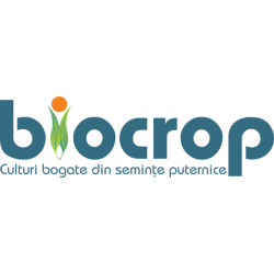 Seminte de porumb Biocrop SILVANER