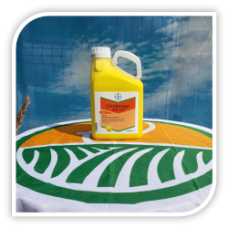 CHALLENGE 600 SC CHALLENGE 600 SC