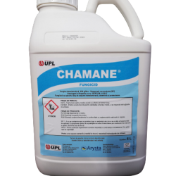 CHAMANE 5L