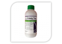 CIDELY TOP 1L