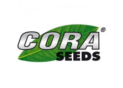 Seminte de ceapa ELENKA F1