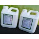 Erbicid KINGSLEY 1 KG