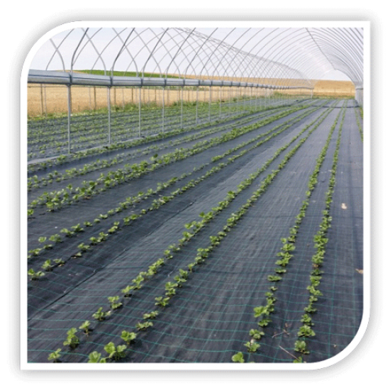 Folie Agrotextil Agrolys