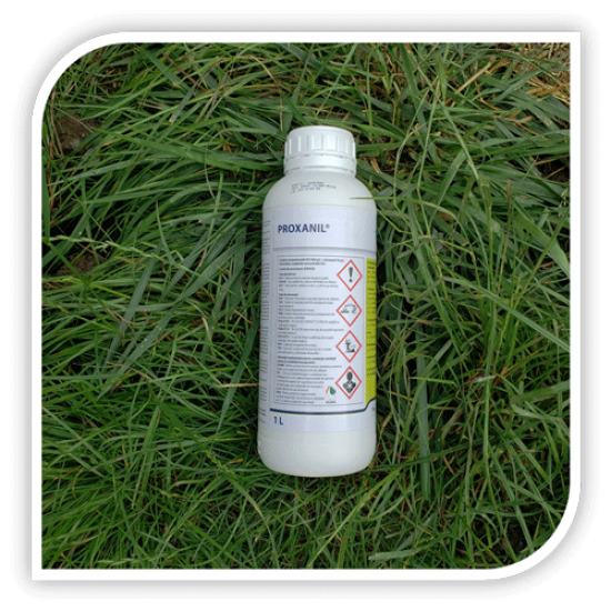 Fungicid PROXANIL