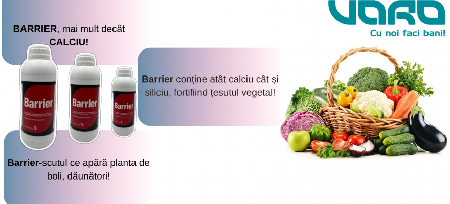 https://www.varo.ro/barrier-fortifiant-calciu-siliciu