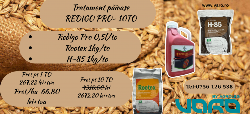 https://www.varo.ro/TRATAMENT,ORZ,GRAU,PAIOASE,FUNGICID,INRADACINARE