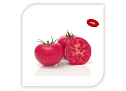 Seminte de tomate PINK WAND F1