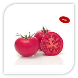 Seminte de tomate PINK WAND F1
