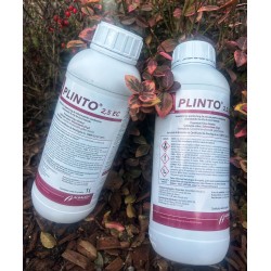 Insecticid PLINTO
