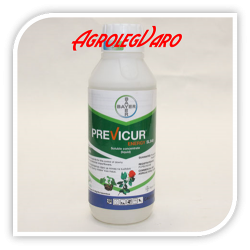 PREVICUR ENERGY