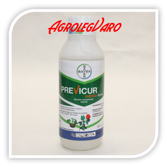 PREVICUR ENERGY PREVICUR ENERGY