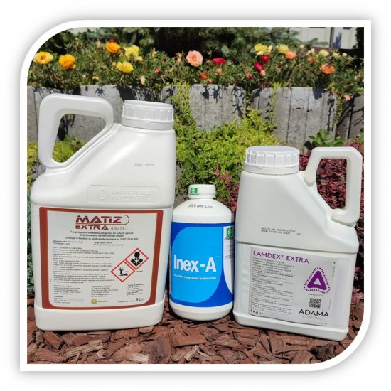 Pachet Rapita 10 Ha Toamna 1