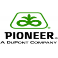 SEMINTE PIONEER