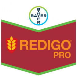 REDIGO PRO