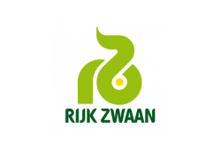 Seminte de conopida PAXTON 