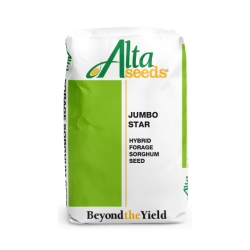 Seminte de sorg ALTASEED JUMBO STAR
