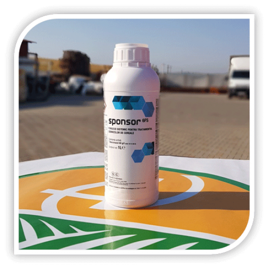 SPONSOR 6 FS