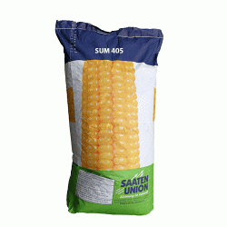 Seminte de porumb SAATEN SUM 405