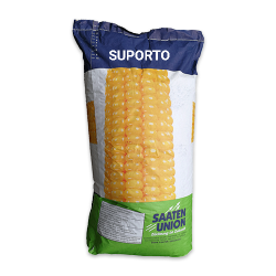 Seminte de porumb SAATEN SUPORTO