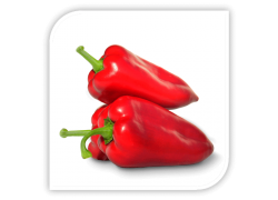 Seminte de ardei kapia RUBICON F1