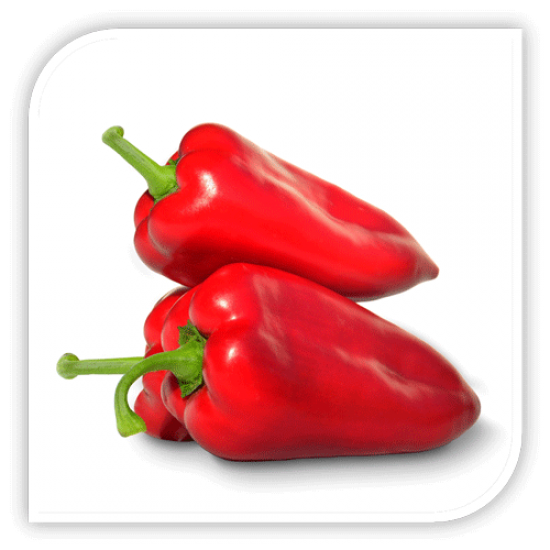 Seminte de ardei kapia RUBICON F1