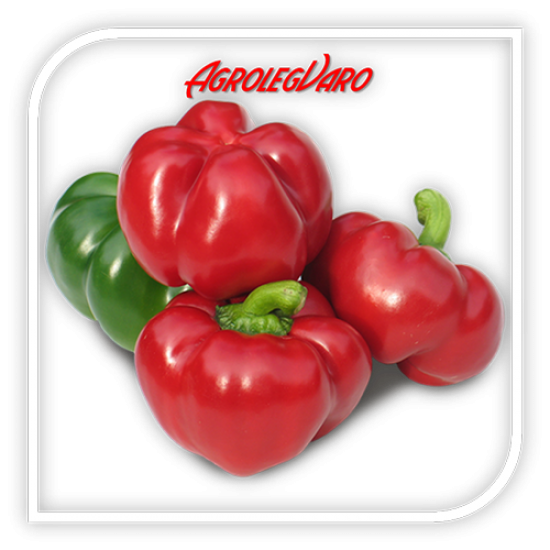 Seminte de gogosar BIHAR F1