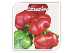 Seminte de gogosar GREYGO