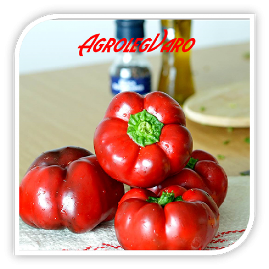 Seminte de ardei gogosar TRAIAN F1