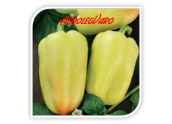 Seminte de ardei gras ARTIM