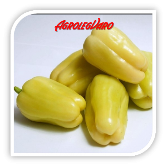 Seminte de ardei gras BIBIC F1