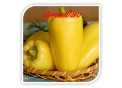 Seminte de ardei gras DE SIRIA