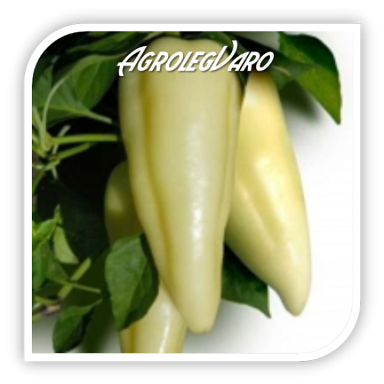 Seminte de ardei gras EMESE F1