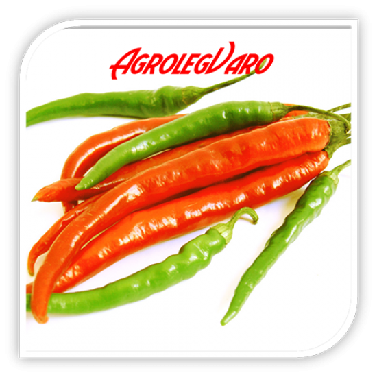 Seminte de ardei iute DE CAYENNE