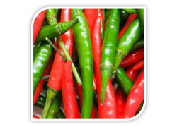 Seminte de ardei iute HYFFAE F1