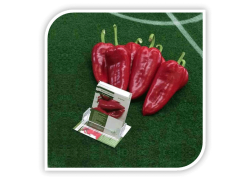 Seminte de ardei kapia ARCHIVARIUS