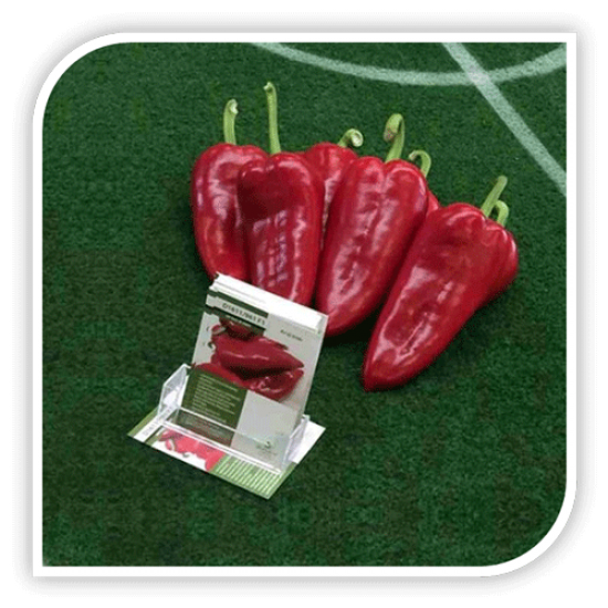 Seminte de ardei kapia ARCHIVARIUS