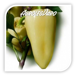 Seminte de ardei semi-iute BERENYI F1