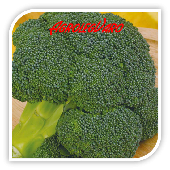 Seminte de broccoli IRONMAN F1