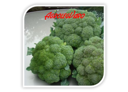 Seminte de brocoli PARTHENON F1