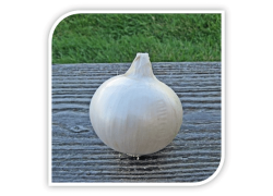 Seminte de ceapa Nevada