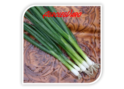 Seminte de ceapa Parade