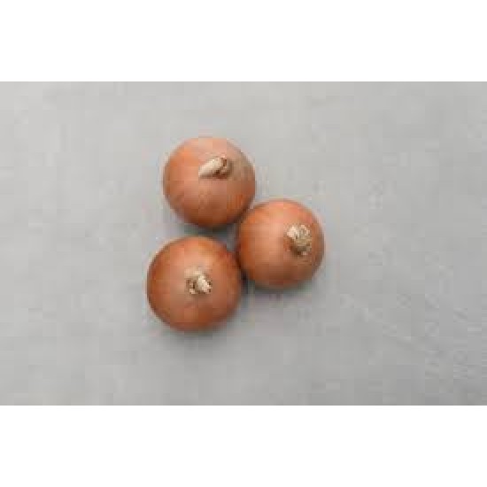 Seminte de ceapa STINGRAY F1