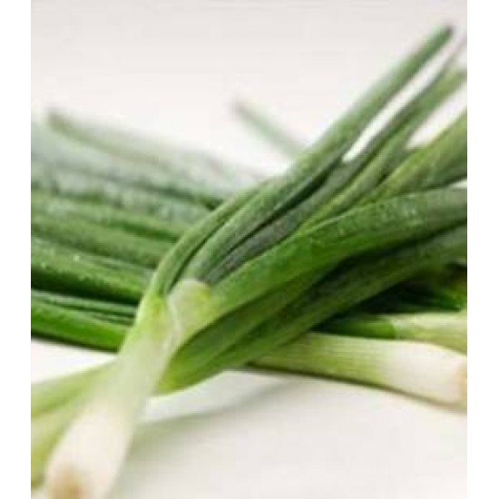 Seminte de ceapa de legatura TYCOON F1