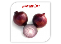 Seminte de ceapa rosie PRIMUL ROOSA
