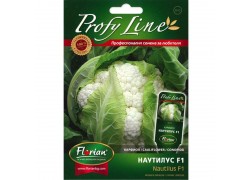 Seminte de conopida Nautilus F1 Florian