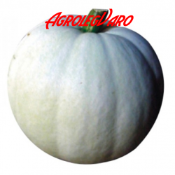 Seminte de dovleac VALENCIANO